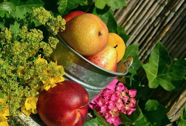 Wiadro wypełnione dojrzałymi owocami i warzywami
