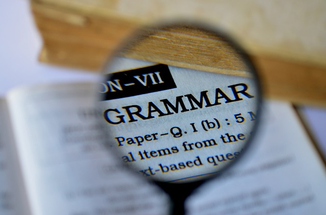 Zdjęcie hasła słownikowego "gramatyka" pod lupą