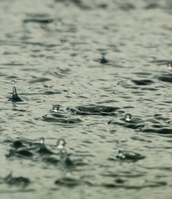 Jak zagospodarować deszczówkę?